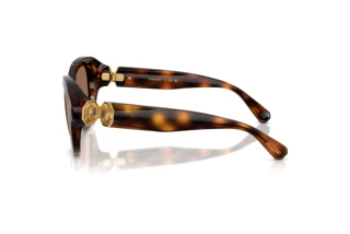 Widok z boku Swarovski SK6037 (100273)