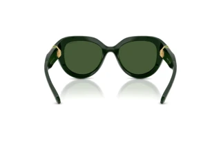 Widok z tyłu Swarovski SK6037 (102671)