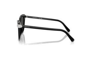 Widok z boku Swarovski SK6039 (100187)