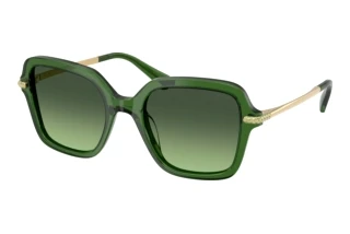 Widok z przodu Swarovski SK6040 (10812A)