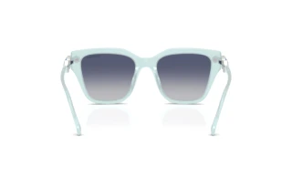 Widok z tyłu Swarovski SK6041 (10244L)