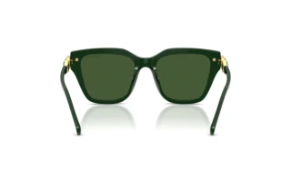 Widok z tyłu Swarovski SK6041 (102671)