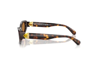 Widok z boku Swarovski SK6045U (100273)