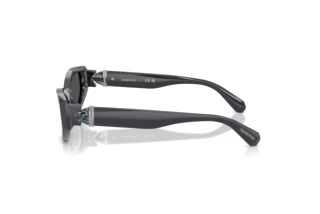 Widok z boku Swarovski SK6045U (10836G)