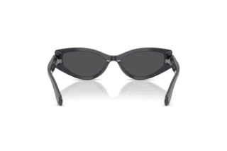 Widok z tyłu Swarovski SK6045U (10836G)
