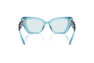 Widok z tyłu Swarovski SK6047 (107872)
