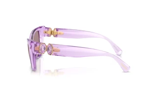 Widok z boku Swarovski SK6047 (1079LA)