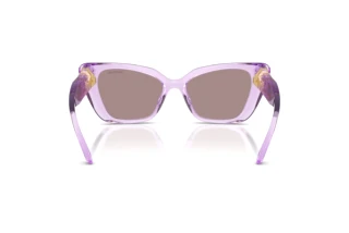 Widok z tyłu Swarovski SK6047 (1079LA)