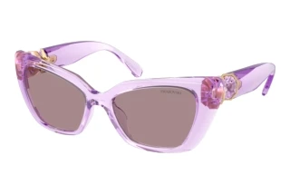 Widok z przodu Swarovski SK6047 (1079LA)
