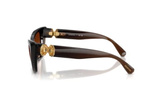 Widok z boku Swarovski SK6047 (108474)