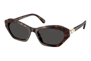 Widok z przodu Swarovski SK6048 (100287)
