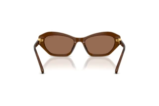 Widok z tyłu Swarovski SK6048 (108473)