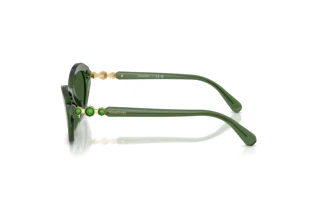 Widok z boku Swarovski SK6048 (108571)
