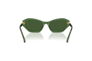 Widok z tyłu Swarovski SK6048 (108571)