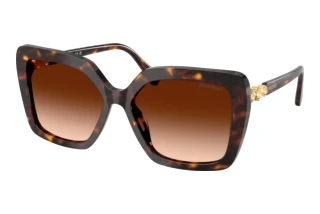 Widok z przodu Swarovski SK6049 (100274)