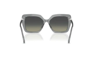 Widok z tyłu Swarovski SK6049 (106211)