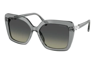 Widok z przodu Swarovski SK6049 (106211)