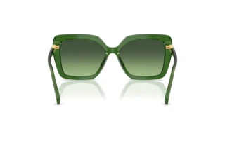 Widok z tyłu Swarovski SK6049 (10812A)