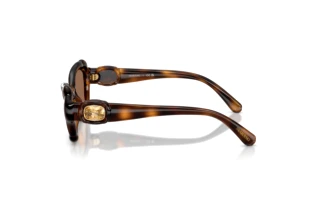 Widok z boku Swarovski SK6050 (100273)