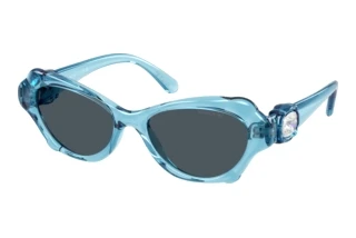 Widok z przodu Swarovski SK6050 (107887)