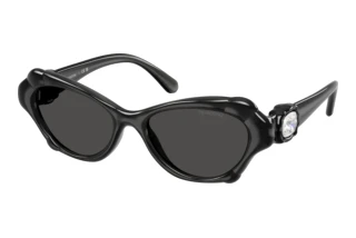 Widok z przodu Swarovski SK6050 (108787)