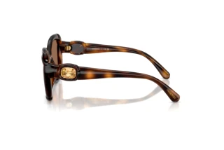 Widok z boku Swarovski SK6051U (100273)