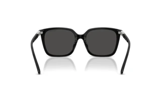 Widok z tyłu Swarovski SK6053D (103887)