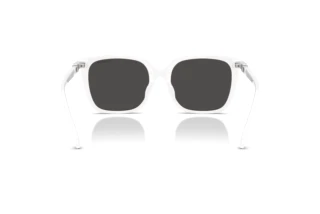 Widok z tyłu Swarovski SK6053D (105087)
