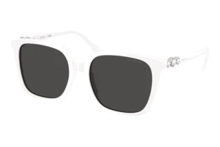 Widok z przodu Swarovski SK6053D (105087)