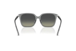 Widok z tyłu Swarovski SK6053D (106211)