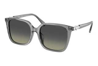 Widok z przodu Swarovski SK6053D (106211)