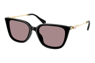 Widok z przodu Swarovski SK6054D (1001LA)