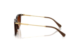 Widok z boku Swarovski SK6054D (108474)