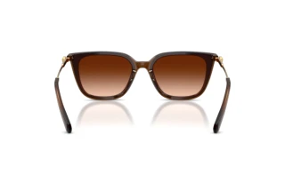 Widok z tyłu Swarovski SK6054D (108474)
