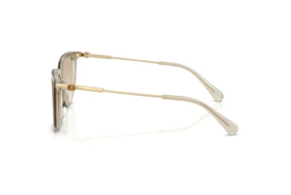 Widok z boku Swarovski SK6054D (300311)