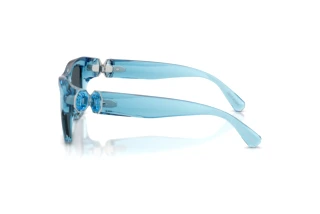 Widok z boku Swarovski SK6056U (107887)
