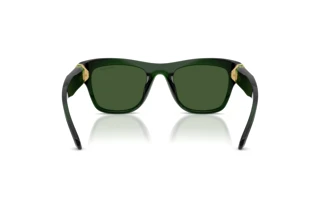 Widok z tyłu Swarovski SK6056U (108171)