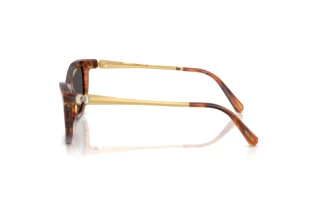 Widok z boku Swarovski SK6057 (109187)