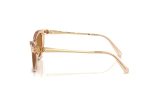 Widok z boku Swarovski SK6057 (109273)