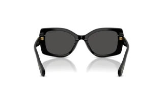 Widok z tyłu Swarovski SK6058U (100187)