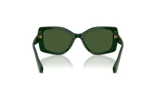 Widok z tyłu Swarovski SK6058U (102671)