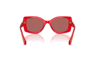 Widok z tyłu Swarovski SK6058U (110369)