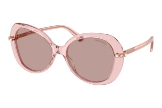 Widok z przodu Swarovski SK6059 (10977N)