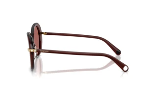 Widok z boku Swarovski SK6059 (109869)
