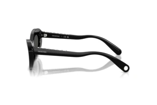 Widok z boku Swarovski SK6061U (100187)