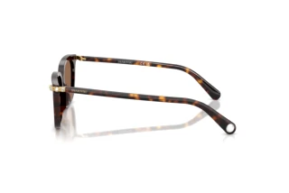 Widok z boku Swarovski SK6064D (100273)