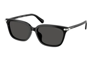 Widok z przodu Swarovski SK6064D (103887)