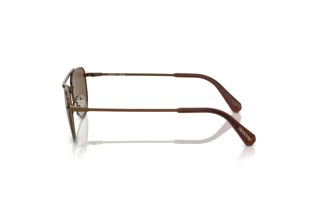 Widok z boku Swarovski SK7007 (401673)