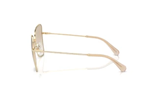 Widok z boku Swarovski SK7008 (401311)