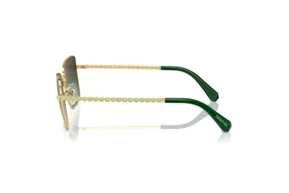 Widok z boku Swarovski SK7015 (4004E8)